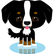 HTONG的个人资料头像