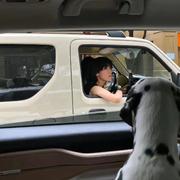 小词的个人资料头像