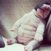 JUA11600的个人资料头像