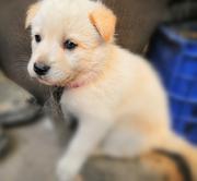 沧海燚声笑的个人资料头像