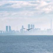 YingHN的个人资料头像