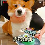 Sun7240头像