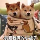 哈哈的个人资料头像
