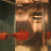 顾十一郎君的个人资料头像