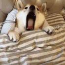 Freeze君的个人资料头像