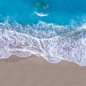 藏海一素头像
