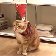 用户9939638104251的个人资料头像