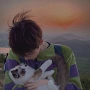 Despupilles的个人资料头像