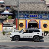 大麟家和万事兴头像