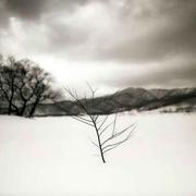 jinyao的个人资料头像