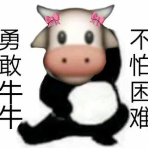 南迪阿尔伯特头像