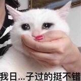 跟紧时代糟老头们头像
