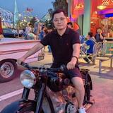 奔放的小豪斯头像