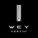 青岛惠骋WEY坦克
                        头像