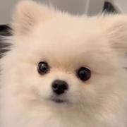 blissful的个人资料头像