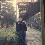 毛叔738头像
