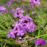 用户4120741187664头像