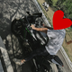 MrZheng39024407头像