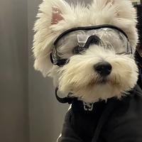 一个达不刘97708头像