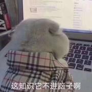 阿豪同学丶的个人资料头像