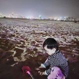 小白买车之路头像