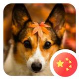 土豆sir549头像