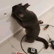 范德彪1112的个人资料头像