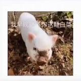 爷的浪荡以失传562头像