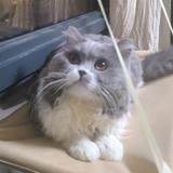 用户984783273241头像