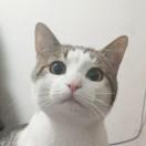 holennnnnn_的个人资料头像