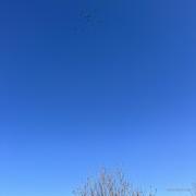 ashy1q的个人资料头像