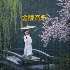 金陵王音乐头像