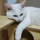 WX的个人资料头像