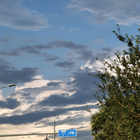 勇者小胖纸头像