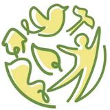 青岛维度创新教育头像