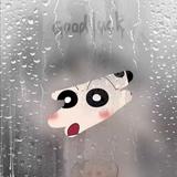 鹏哥哥上线头像