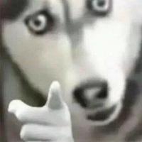 贝伐珠单抗头像