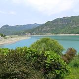 大药瓶子头像