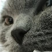 火山爸的个人资料头像