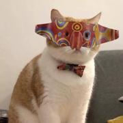 arcane的个人资料头像