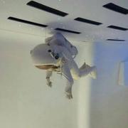 yo757的个人资料头像