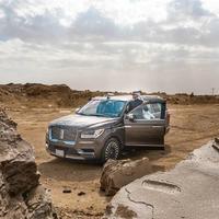 揽你入怀胜行天下头像