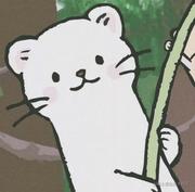 0xDevNull的个人资料头像