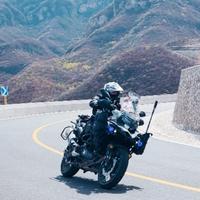 不正经的502X头像