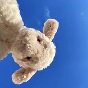 undefined的个人资料头像