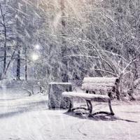 初雪阅读寒冬头像
