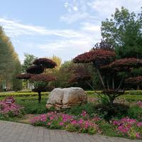 一越跑越胖一头像