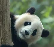 PilotP的个人资料头像