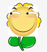 一棵向日葵的个人资料头像