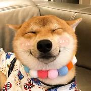 WODUISONGQIANDEAIFOR的个人资料头像